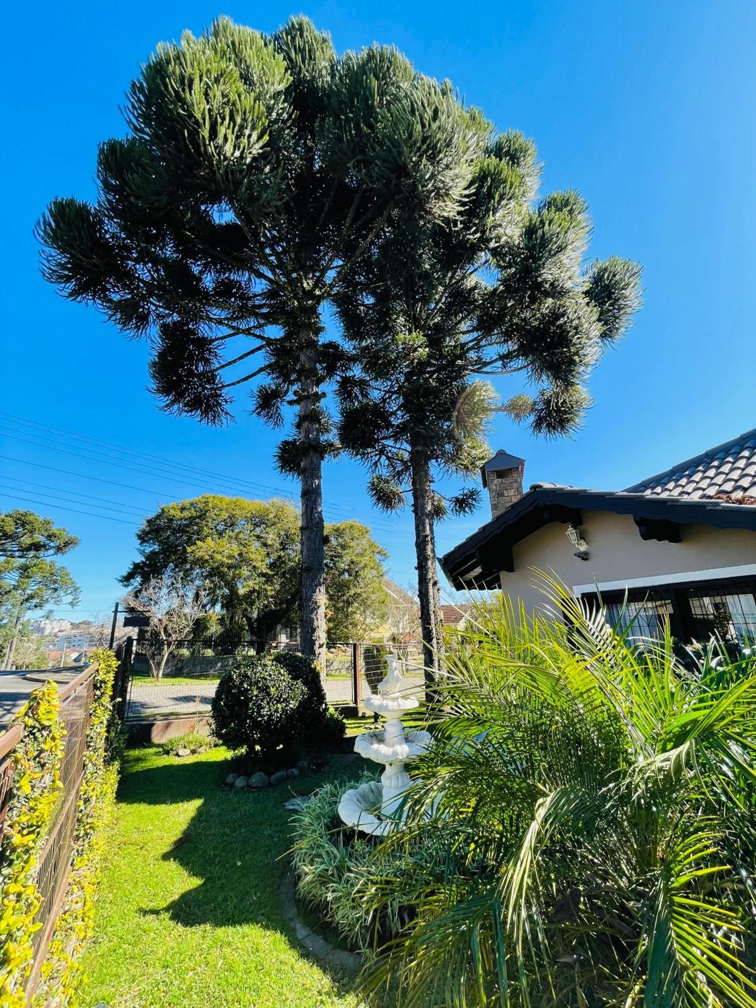 Residencial Pine House Otel Canela Dış mekan fotoğraf